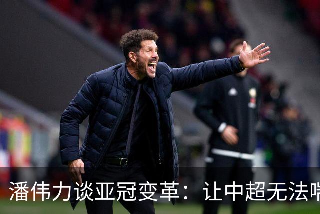潘伟力谈亚冠变革：让中超无法喘息 球迷不用看了